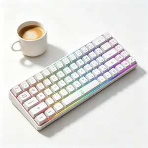 68 Keys 60% Gaming Keyboard, RGB Rainbow LED Backlit Mini Keyboard, Ergonomic Mechanical Feel Keyboard, Full Compatibility for Windows PC Laptop