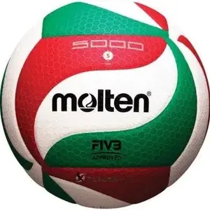 Molten 5000 men’s volleyball