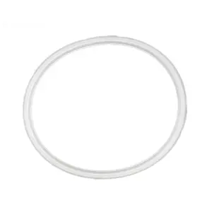 Waterway Plastics  Gunite Lower Body Gasket