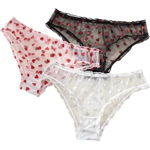 Women's 3 Pack Leopard Print Mesh Thong See Through Panties Lace Trim Low Rise Briefs