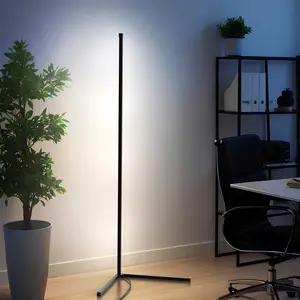 2 in 1 Dimmable Floor Lamp, Smart Corner LED Floor Lamp with App and Remote Control, 16 Million DIY Colors, Music Sync, Timer Setting Scene Modes for Bedroom, Living Room, Studio