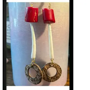 Native American Coconut And Dentalium Shell Earrings