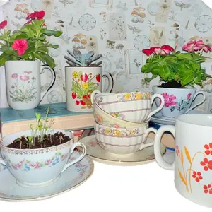 Vintage Teacup or Mug Planter
