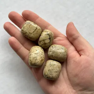 Medium Tumbled Agatized Coral