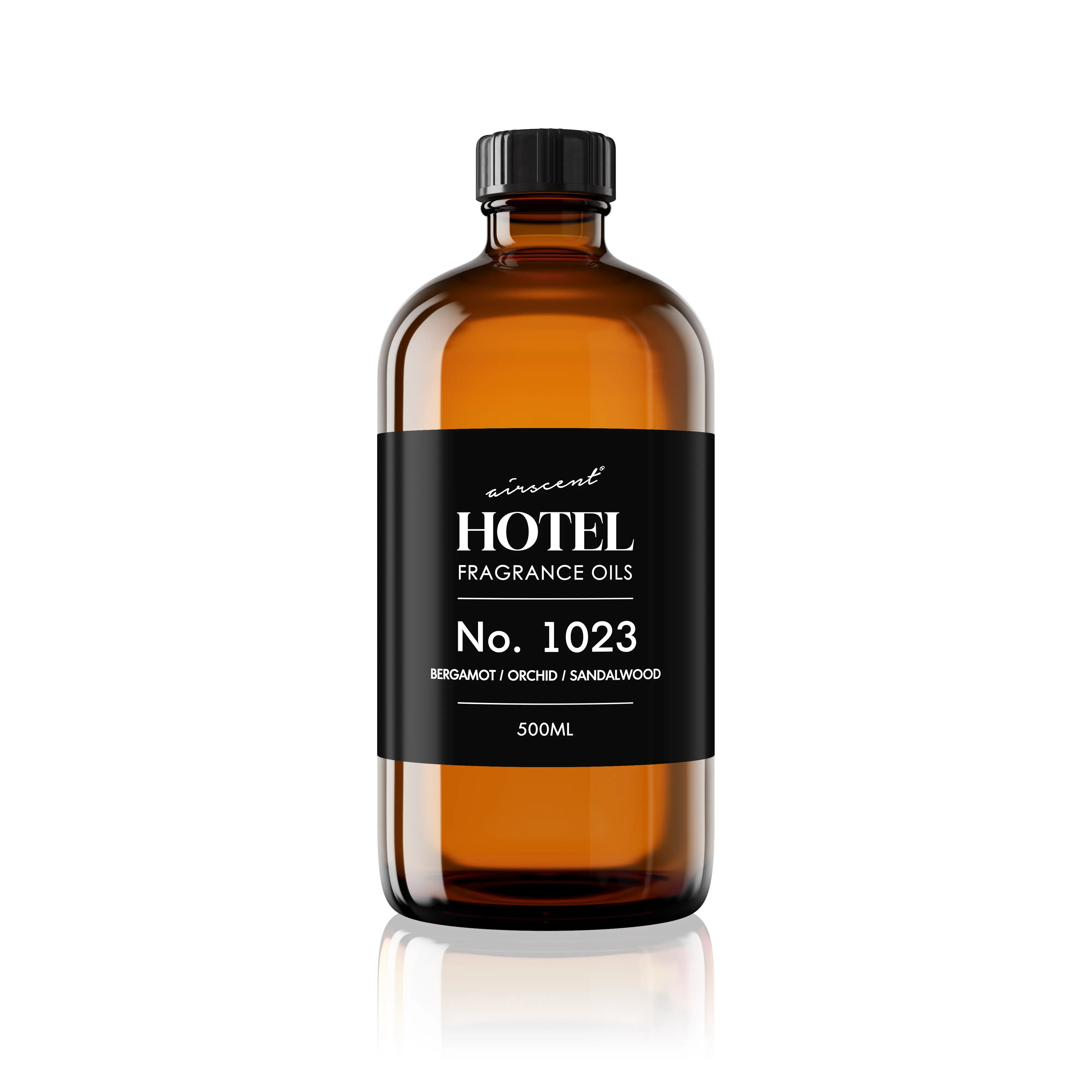 16.9 Fl Oz (Pack of 1)