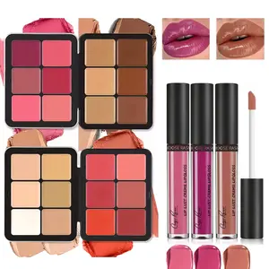 【CHOOSE RASME】High-Value Makeup Face Set, 2 Piece 12 Color Contour Blush Palette + 3 Color Gloss Lip Kit, Perfect for Everyday Beauty Routine