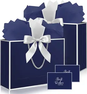 Fancy Large Gift Bags with Handles, 2 Pack 12.6x10x4 Inches - Includes Tissue Paper & Cards for Birthday, Valentine's Day, Baby Shower, Wedding, Anniversary & Holiday Gifts (Blue and Silver)