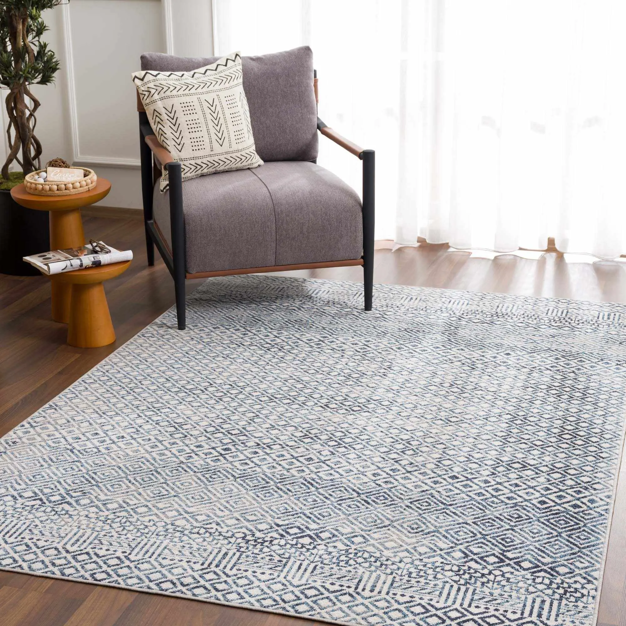 Askeaton Washable Indoor Area Rug, Versatile Living Room Mat for Home Decor, Indoor Area Rugs, Home Decor Mat