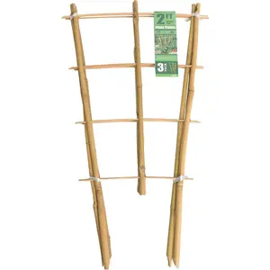 Trellis 2FT 3 Pack,  Ladder Stakes 24 Inches,  Fan-Shaped  Trellis for Orchid Vines, Monarchs, Ivy and Other  Climbing, Help  Growth