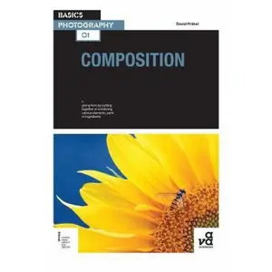 USED-Basics Photography 01: Composition by David Präkel (Paperback)