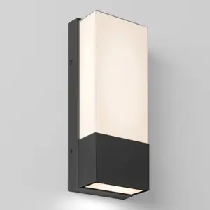 Dixon indoor-outdoor LED wall light
