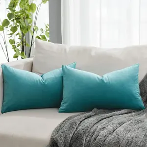 Decorative Lumbar Velvet Throw Pillow Covers 12x20 inch t of 2 with Zipper Luxury Soft Solid Rectangle Cushion Covers Ca for Sofa Couch Bed Living Room