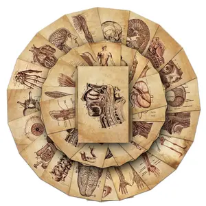 Vintage Human Anatomy Note Stickers, Creative Personalized Decorative Decals, Skateboard Journal Stickers, 50 Sheets Set