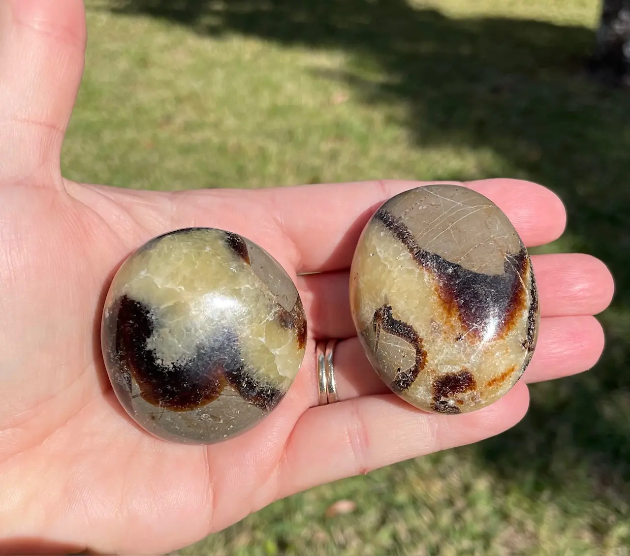 Septarian Crystal Palm Stone