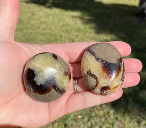 Septarian Crystal Palm Stone