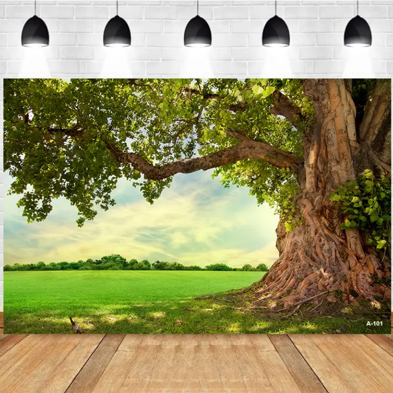 Photography Background Sunlit Greenery Large Tree Grass Natural Scenery Personal Portrait Backdrop Studio Photography
