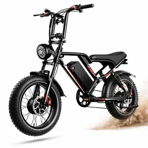 1000W Peak Electric Bike for Adults, 20" Fat Tire All-Terrain E-Bike, Up to 31 MPH, 48V25Ah RemovableBattery, 7-Speed