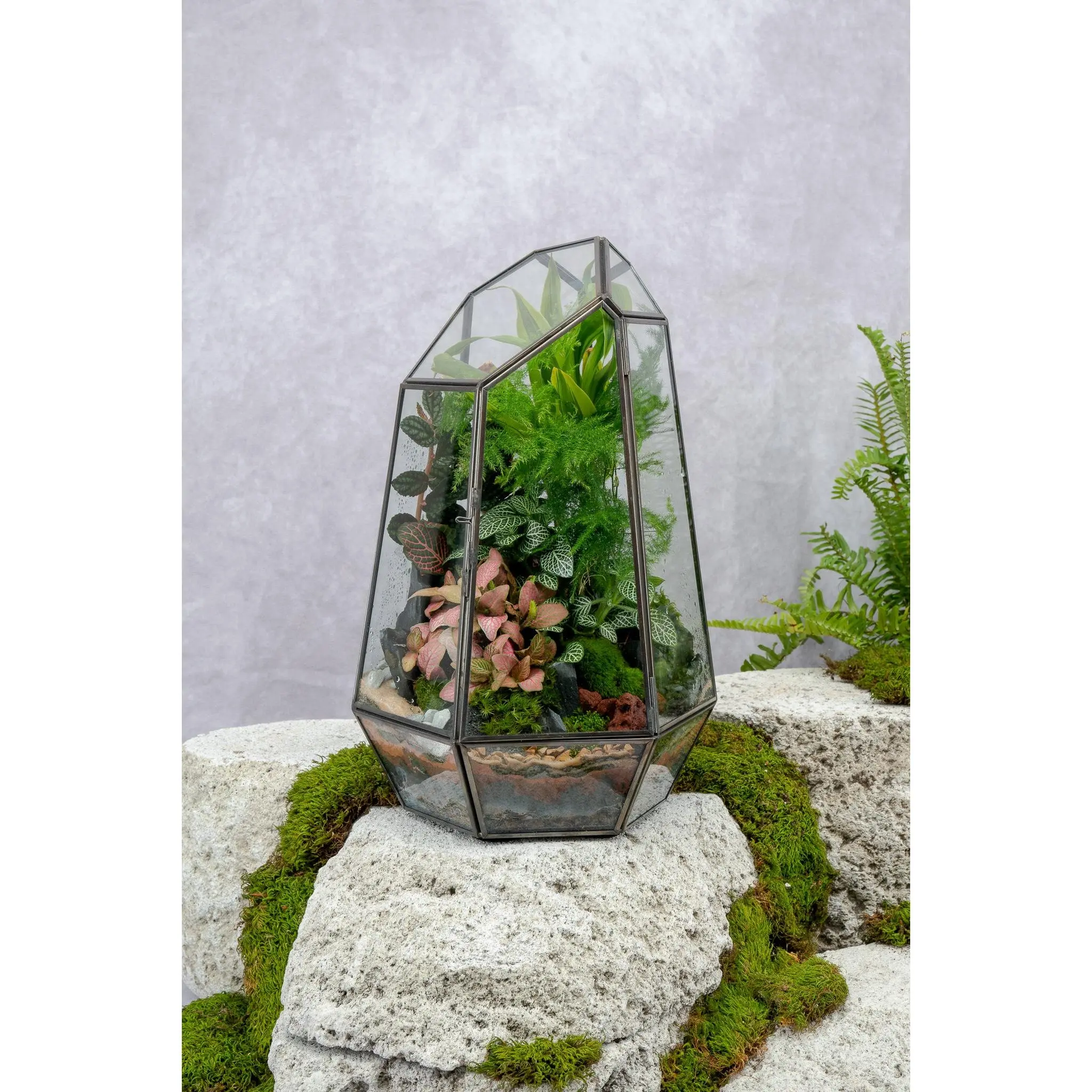 Quartz L. Terrarium