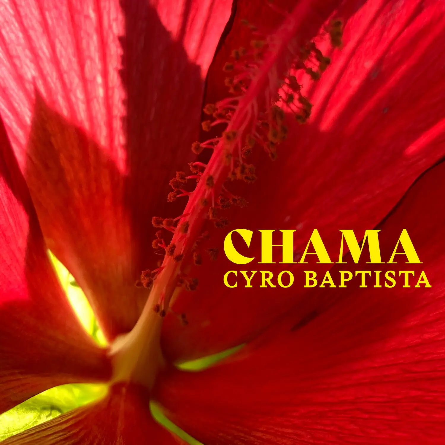 Cyro Baptista - Chama  [COMPACT DISC - CD]