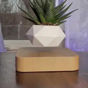 Floating Magnetic levitating flower pot