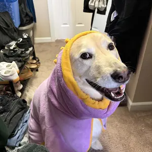 2 Counts Quick-Dry Dog Bathrobe Pet Towels Set, Adjustable Microfiber Robe with Drying Gloves, Ideal for Cold Weather and Beach Swimming #GLOBAL PICKS