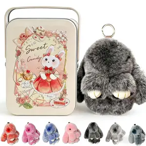 2026 New Style Lop-Eared Rabbit Keychain, Brand New Tin Box Packaging, Soft Plush Toy, Multiple Combination Options, A Perfect Gift for Children, an Essential Holiday Gift