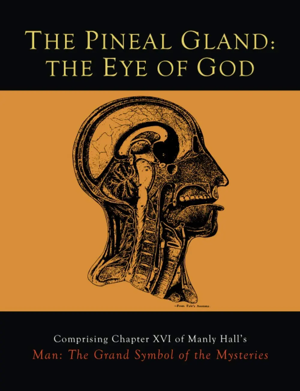 The Pineal Gland: The Eye of God Paperback Book by Manly P. Hall (Literature & Art, Literature Genre)