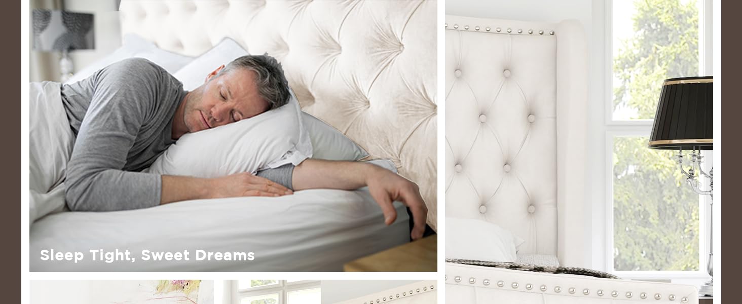 AMERLIFE Platform Bed Frame, Velvet Upholstered Bed with Deep Button Tufted & Nailhead Trim Wingback Headboard/Hardwood Slats/Durability&Sturdy/No Box Spring Needed/Queen/King/California King Size/Best Gift Ideas/Christmas Gifts