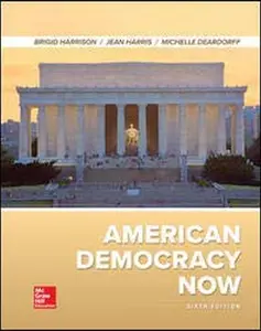 USED-American Democracy Now by Harrison, Brigid C. (Hardcover)