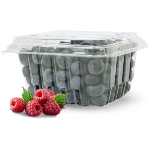 35 PACK - Plastic Berry Basket/Produce Containers - Pint Size for Blueberries, Raspberries, Strawberries