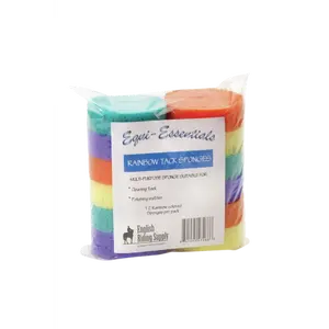 Rainbow Tack Sponges 12 pk