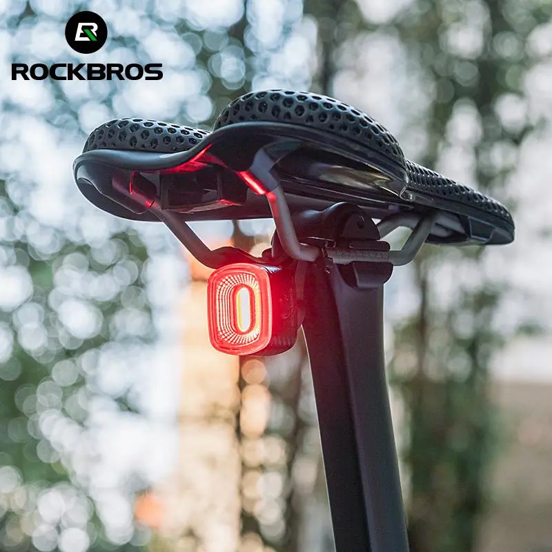 ROCKBROS Compact Outdoor Bicycle Taillight, IPX6 Waterproof, Type-C Rechargeable, Smart Auto Brake Motion Sensor LED Rear Light Q2S, ABS+PC, USB Port, Night Visibility Cycling Accessory