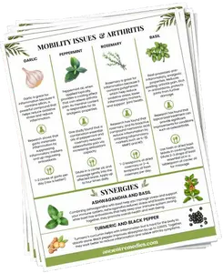 Ancient Remedies Recipe Cards