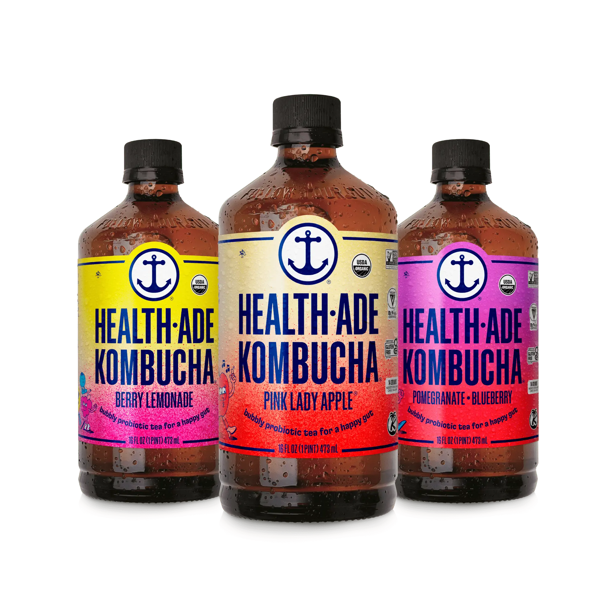 Fan Favorite Kombucha Variety Pack