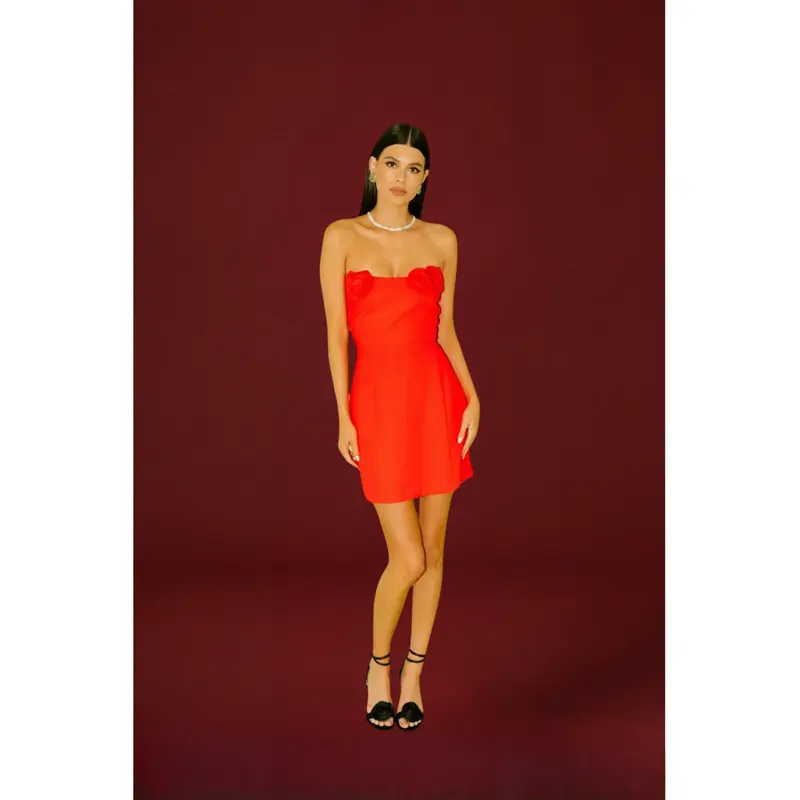 Saudade Rental Dresses - TikTok Shop