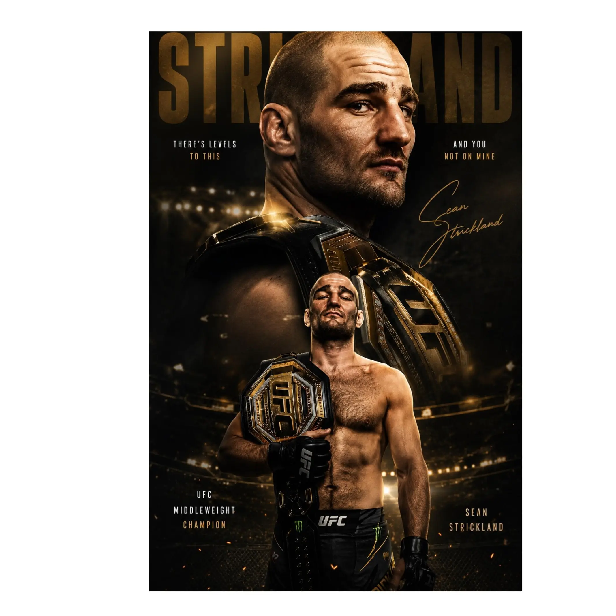 Sean Strickland Champion Poster, Dark Gold UFC Fighter Wall Art, Middleweight MMA Fan Decor, No Frame