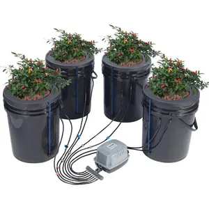 VEVOR DWC Hydroponic System, 5 Gallon 5 Buckets, Deep Water Culture Growing Bucket, Hydroponics Grow Kit with Pump, Air Stone and Connected Reservoir, for Indoor/Outdoor Leafy Vegetables