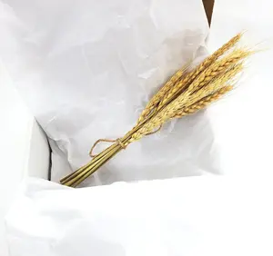 Small Wheat Spray for hamsters and small animals