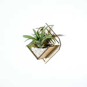 Tillandsia Air Plant Holder - Wall Hanging Sconce Wall Planter (S) - Mounted Hanger & 5.5" Width x 6.7" Height, Handmade Wood Home Decor