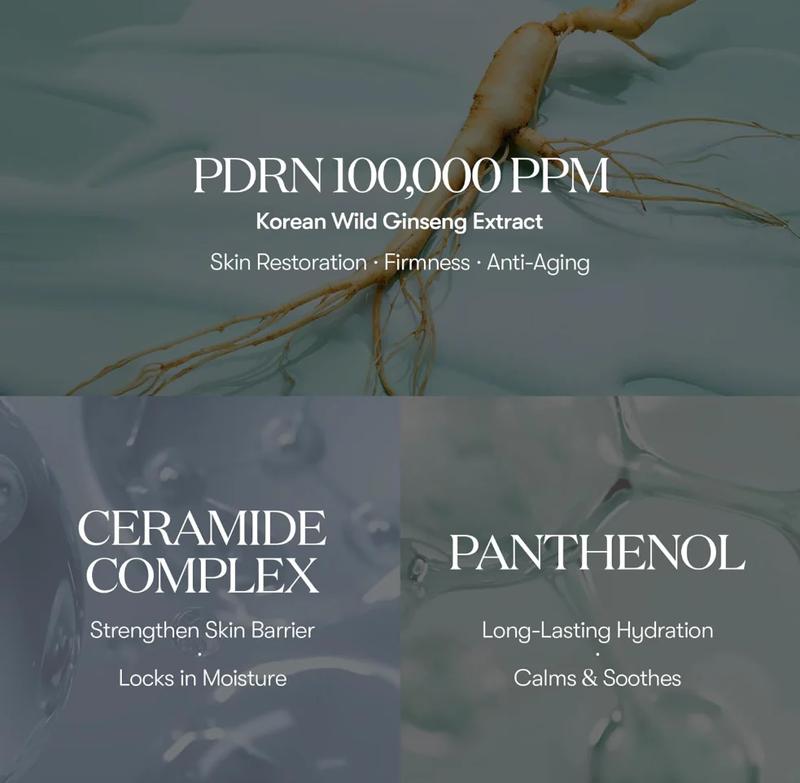 VT COSMETICS PDRN 100 Essence – Intensive Glow Serum (30ml / 1.01 fl. oz.)