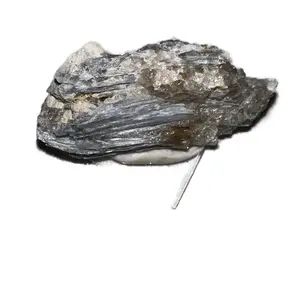 Blue Kyanite Stone on Acrylic base- Gorgeous