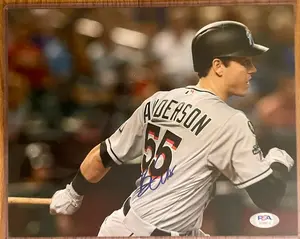 Brian Anderson Auto 16x20 Baseball Photo PSA COA Marlins Braves Brewers