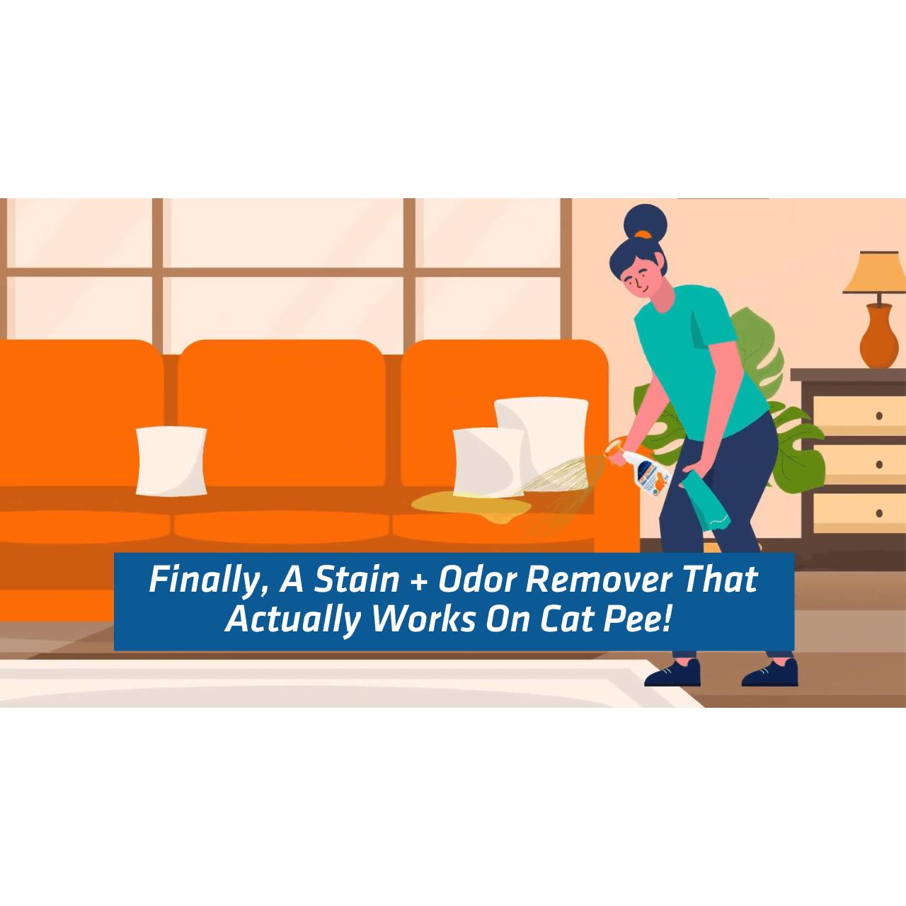 Cat Stain and Odor Eliminator Cat Stain and Odor Eliminator