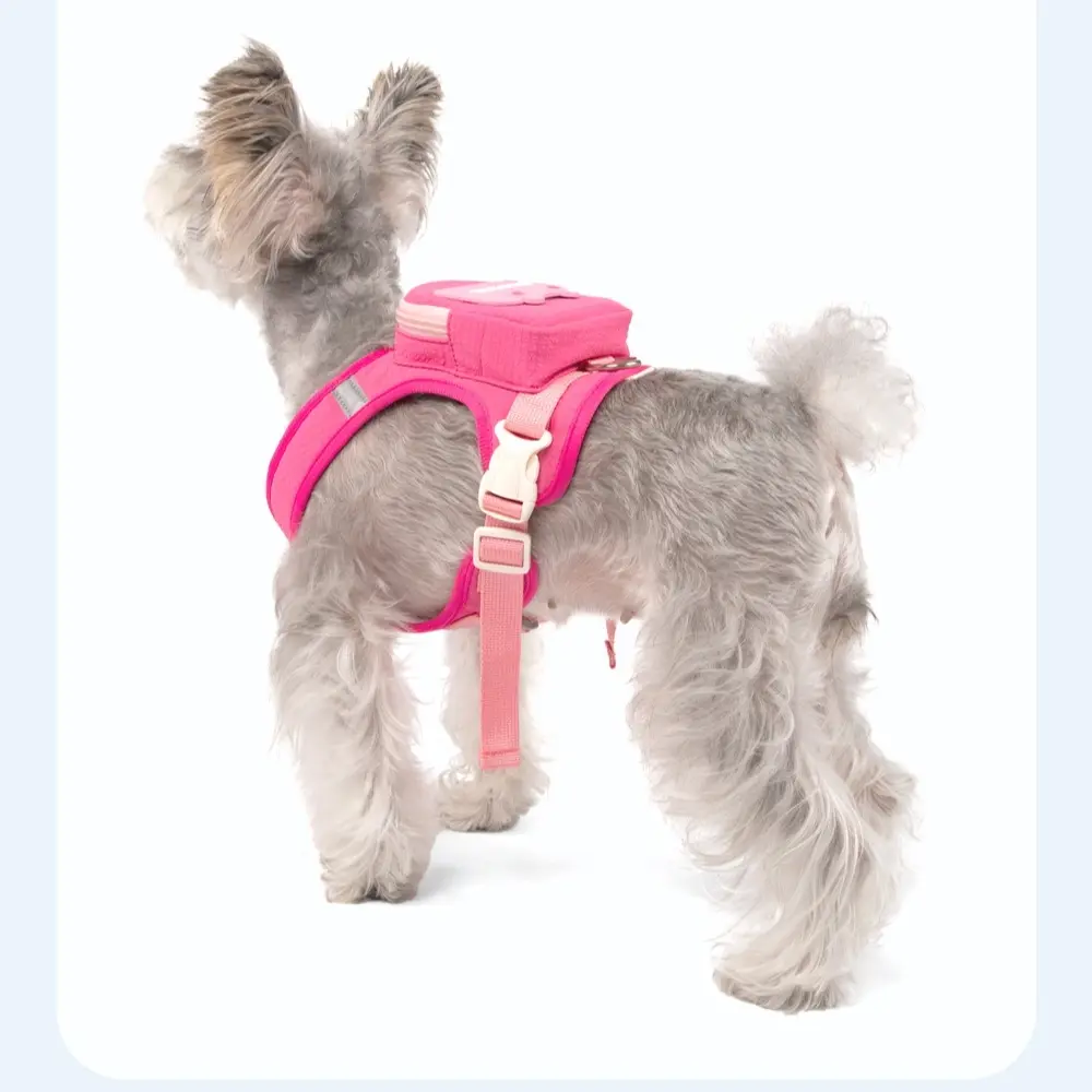 2-in-1 Dog Backpack Harness Leash Combo with Leash – Breathable No-Pull Vest for Small Medium Dogs & Cats, Load-Bearing Pet Carrier for Walking Hiking, Adjustable Escape-Proof