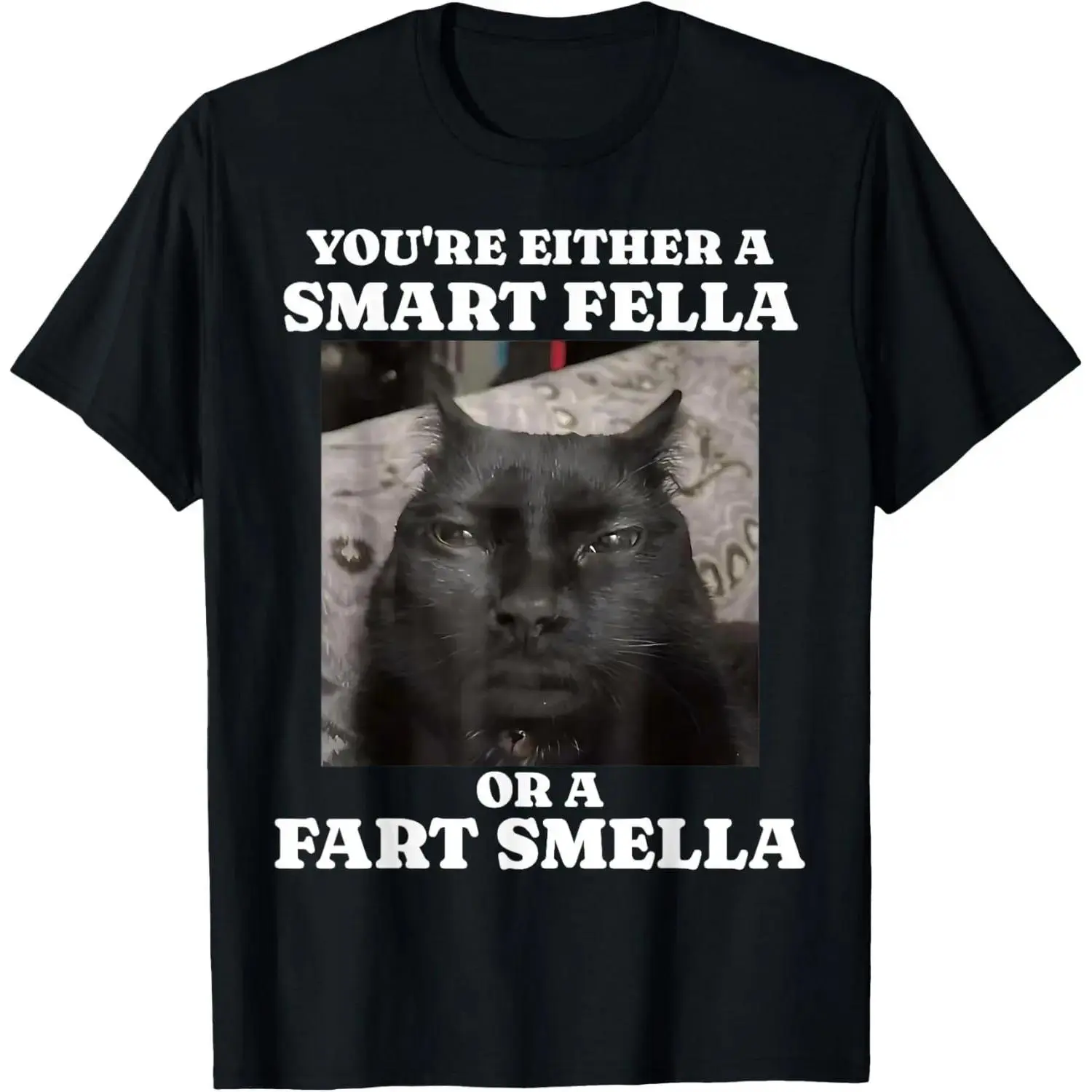 Women's Casual Short-Sleeve Streetwear T-Shirt - Humorous Cat Meme Print Top with "You Are Either a Smart Fella Or a Fart Smella" Slogan, Funny Meme Shirts