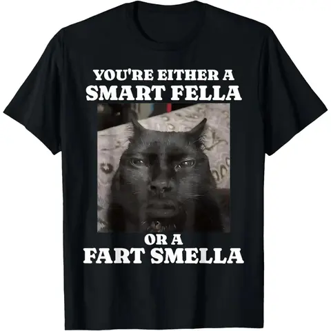Women's Casual Round Neck Short-Sleeve Streetwear Graphic T-Shirt - Shirts for Women with Humor Meme Cat Print, Got Too Silly "You Are Either a Smart Fella Or a Fart Smella" Slogan, Back to School Essential