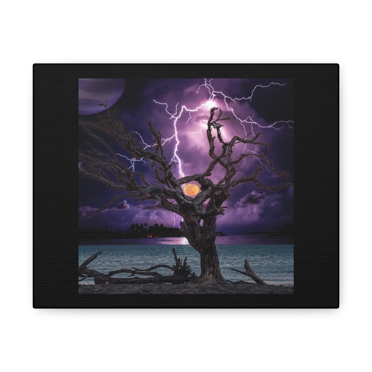 Tree Sun Canvas Gallery Wraps - High Quality Cotton Fabric with Solid Support Face, Indoor Use Only
