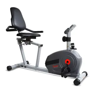 Sunny Fitness Magnetic Smart Recumbent Bike