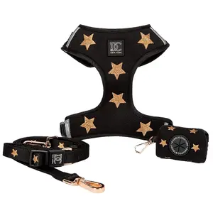 Limited Edition Rockstar Embroidered Dog Walking Set