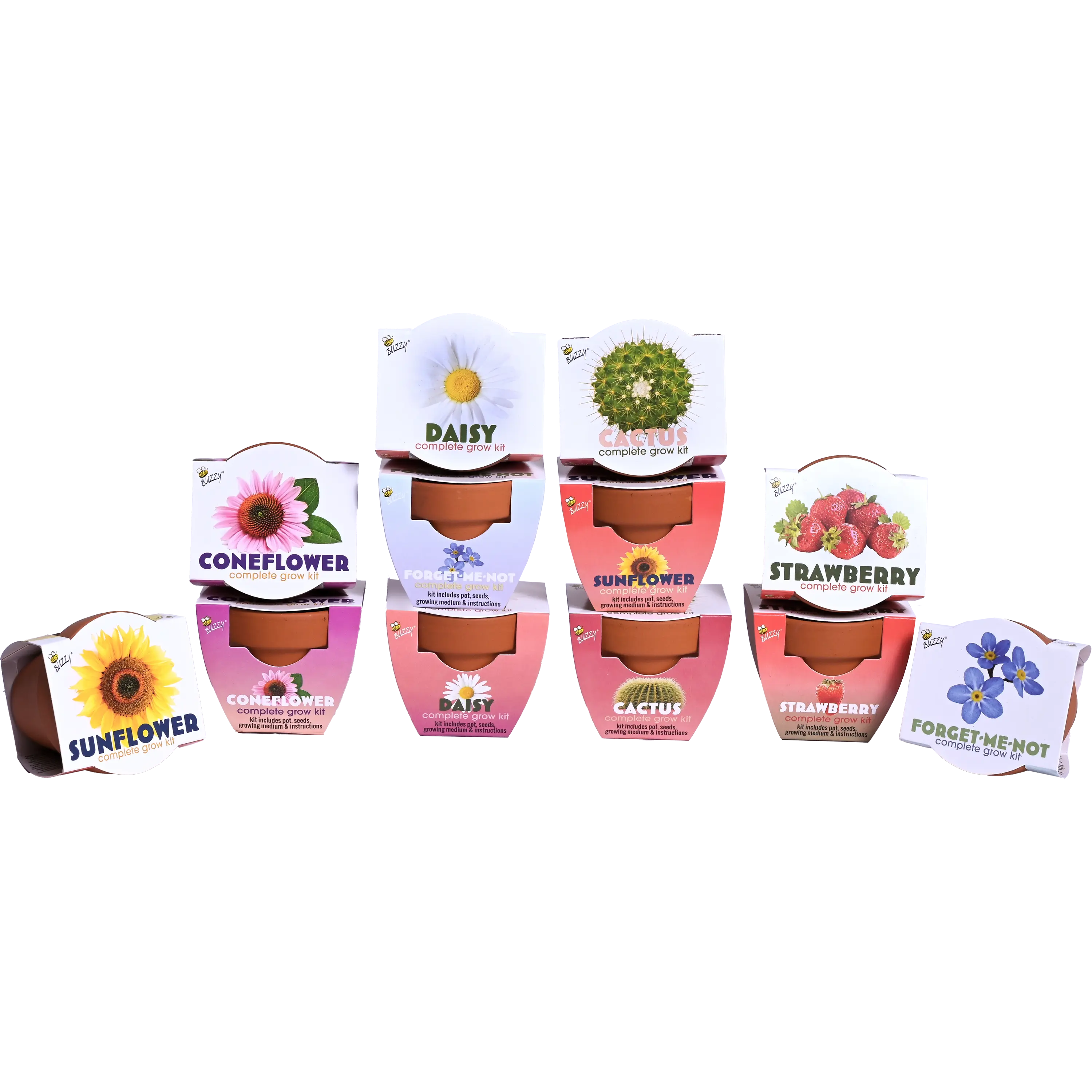 Classic Mini Terracotta Pots | Assorted (12 Pack)